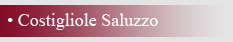 COSTIGLIOLE SALUZZO